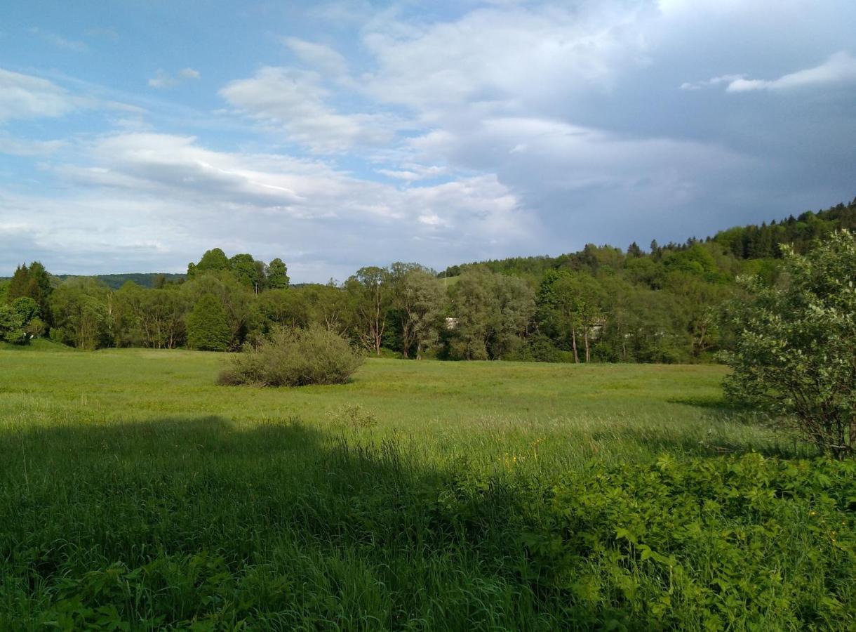 Dolina Rosy Villa Ustrzyki Dolne Bagian luar foto