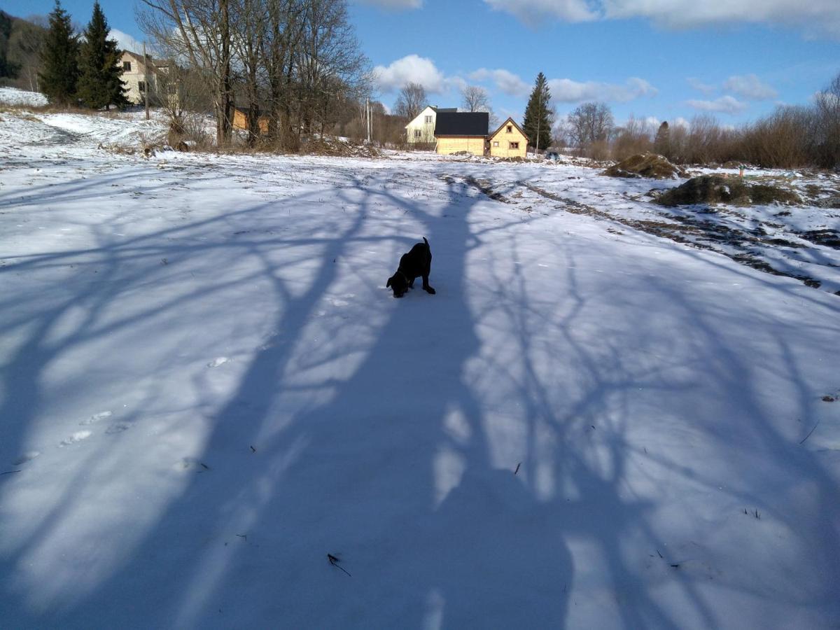 Dolina Rosy Villa Ustrzyki Dolne Bagian luar foto