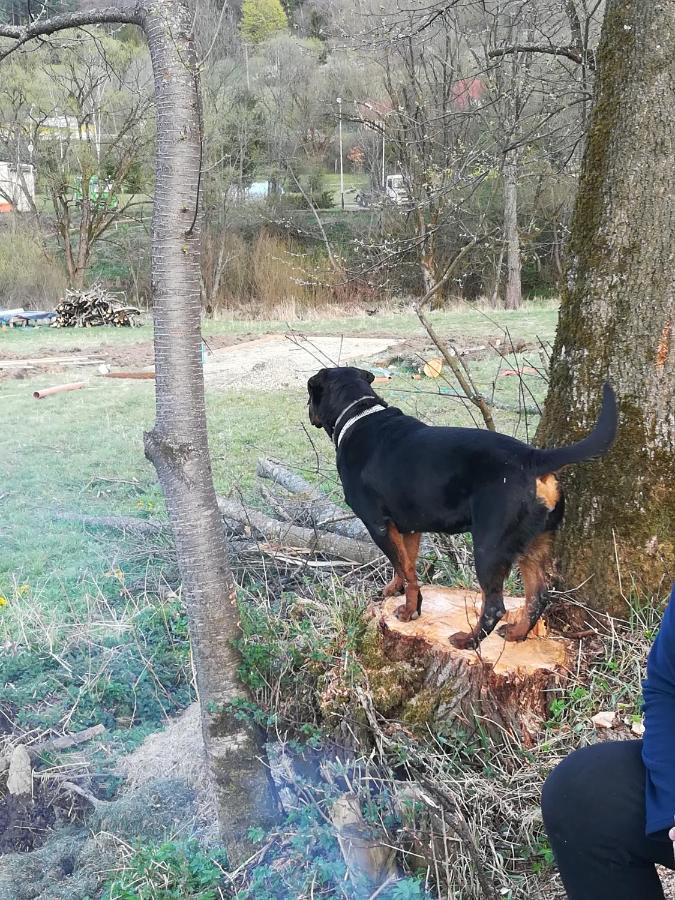 Dolina Rosy Villa Ustrzyki Dolne Bagian luar foto