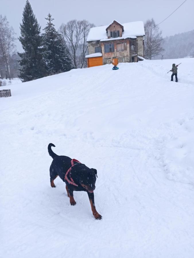 Dolina Rosy Villa Ustrzyki Dolne Bagian luar foto