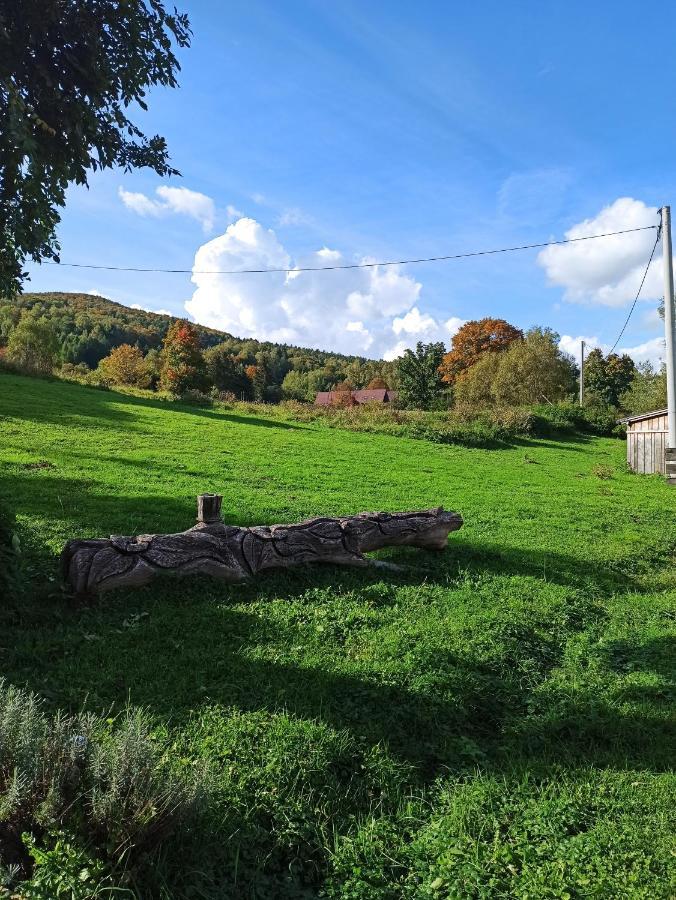 Dolina Rosy Villa Ustrzyki Dolne Bagian luar foto