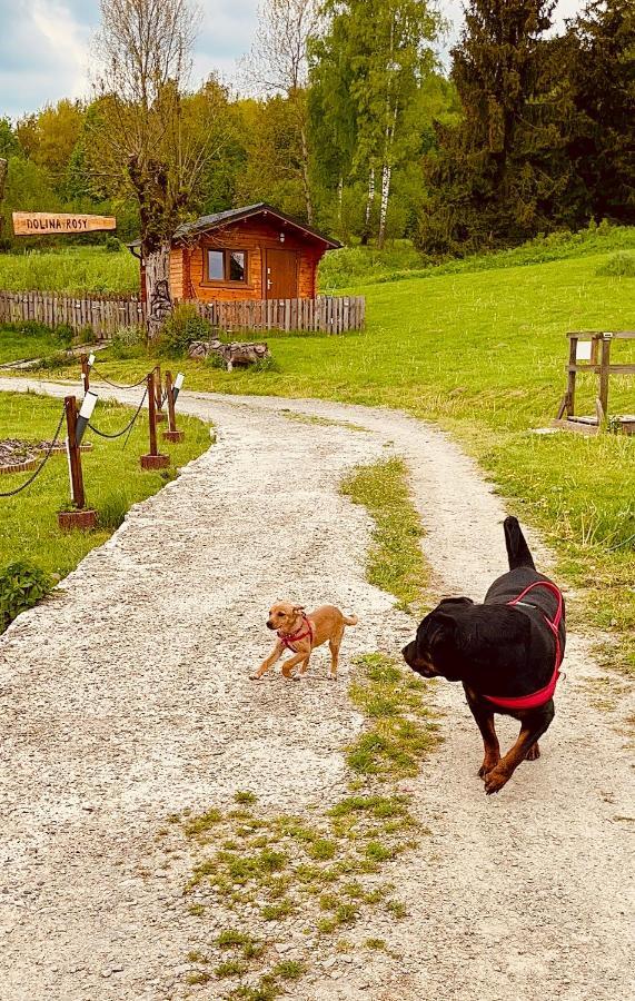 Dolina Rosy Villa Ustrzyki Dolne Bagian luar foto