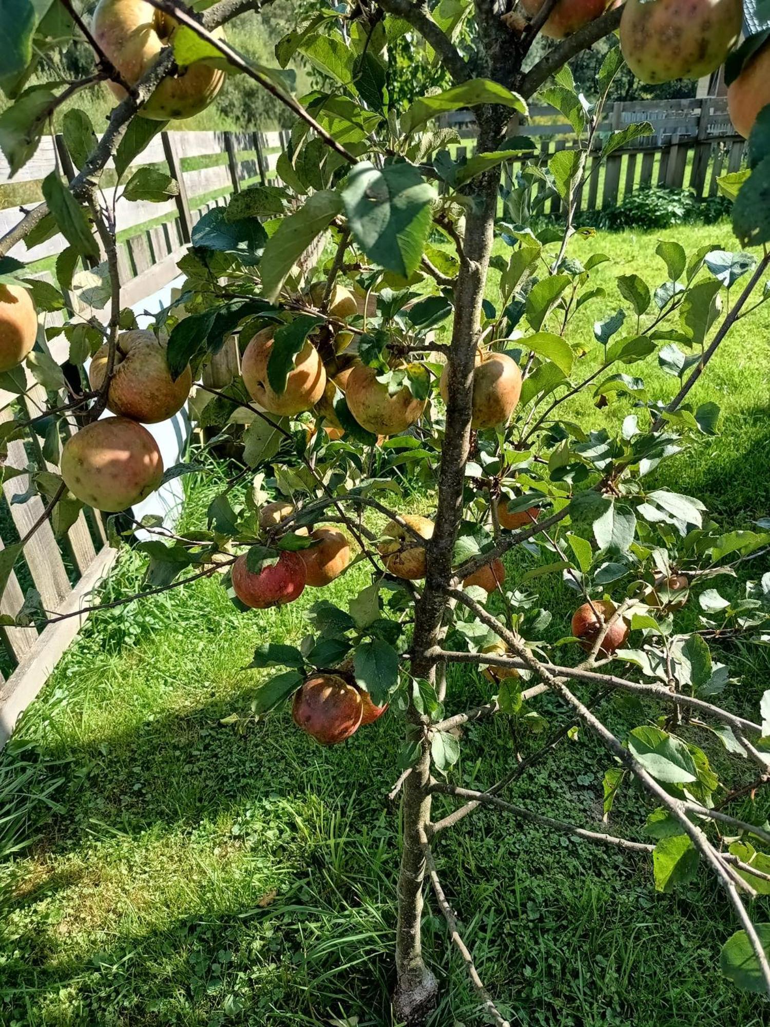 Dolina Rosy Villa Ustrzyki Dolne Bagian luar foto